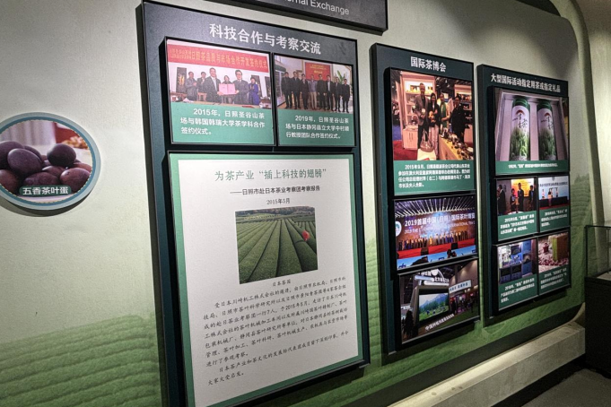 探寻“南茶北引”奋斗史:一片叶子如何富了一方百姓