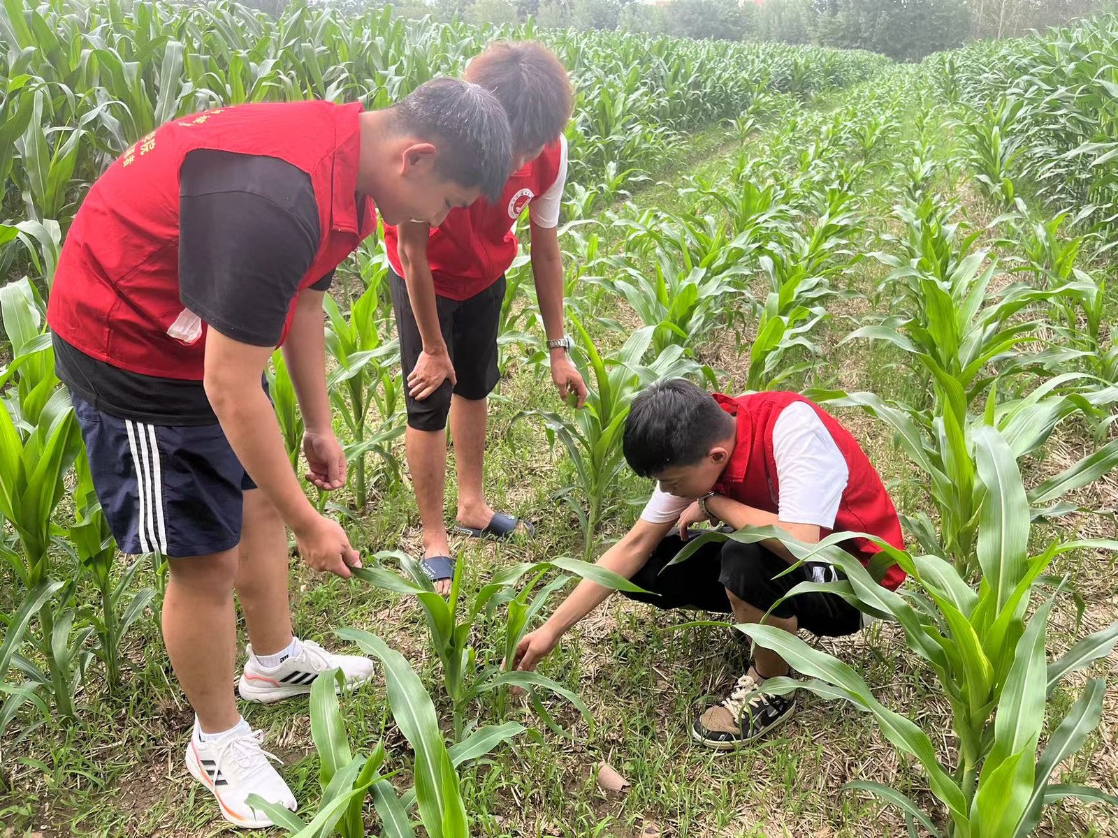 食安护航践初心，青春助农启新程——2026年江西现代职业技术学院春季三下乡社会实践活动纪实